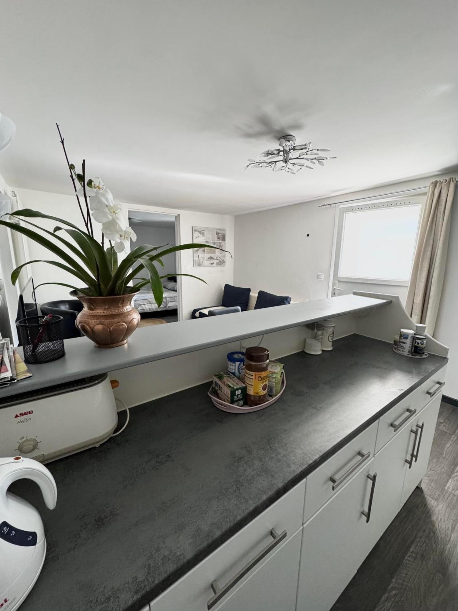 Appartement Detox Au Pied Du Semnoz 시노드 외부 사진